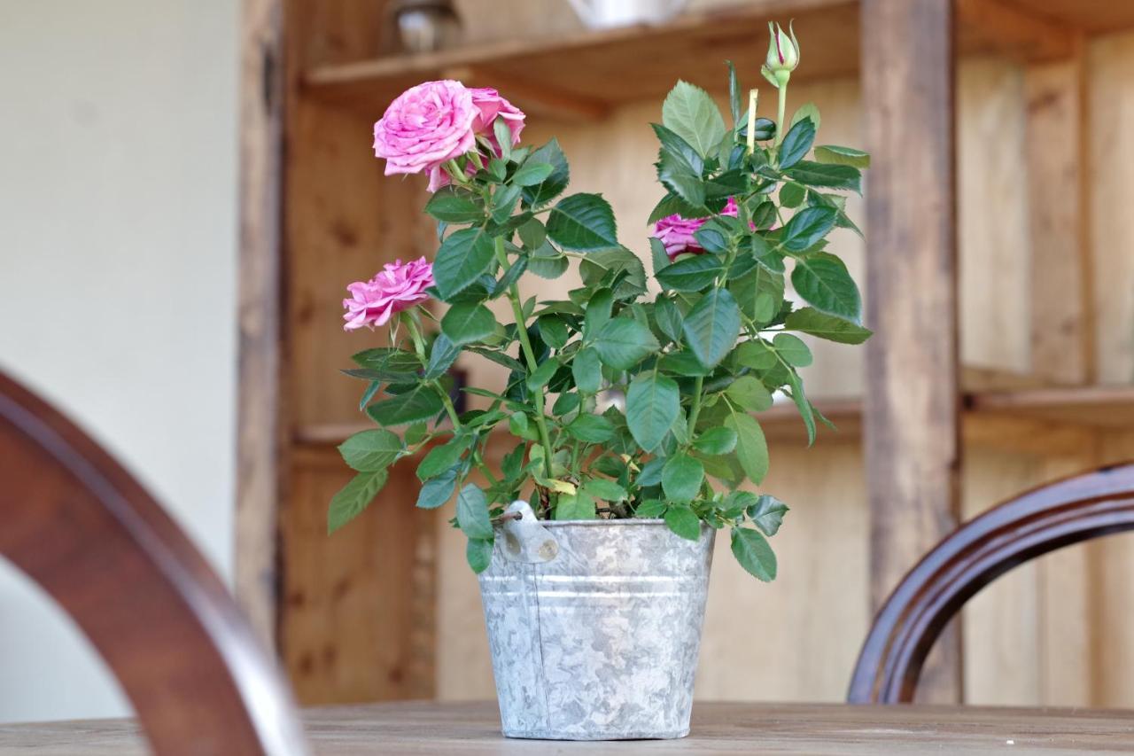 Beb Montefratta Bed and Breakfast Fratta Terme Εξωτερικό φωτογραφία