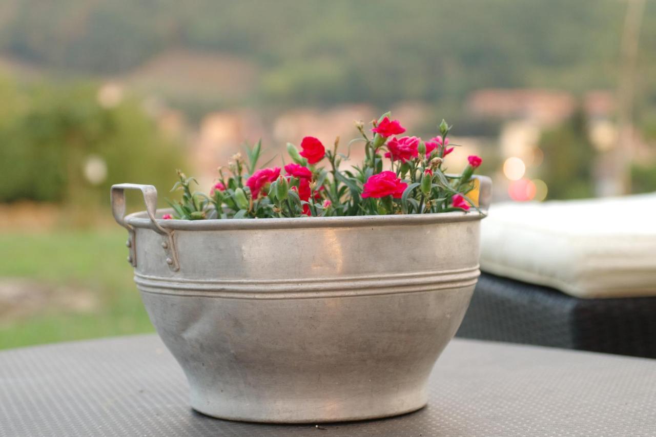 Beb Montefratta Bed and Breakfast Fratta Terme Εξωτερικό φωτογραφία