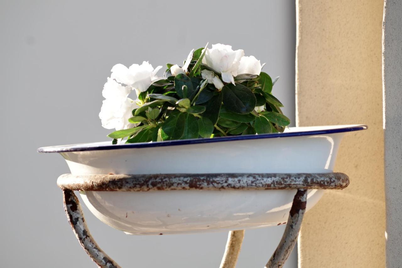 Beb Montefratta Bed and Breakfast Fratta Terme Εξωτερικό φωτογραφία