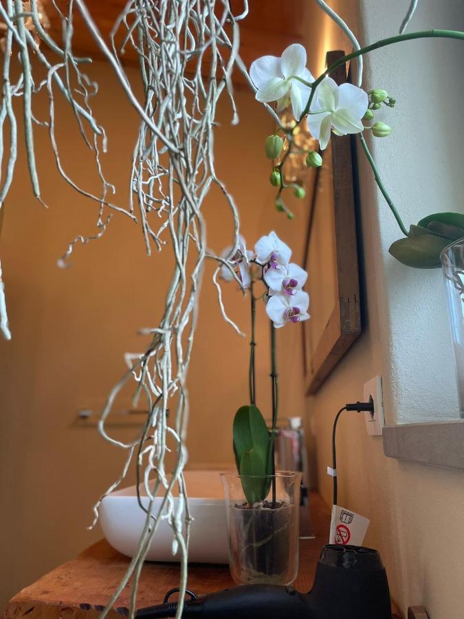 Beb Montefratta Bed and Breakfast Fratta Terme Εξωτερικό φωτογραφία