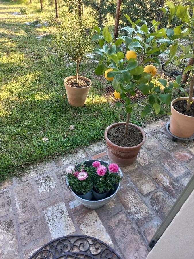 Beb Montefratta Bed and Breakfast Fratta Terme Εξωτερικό φωτογραφία