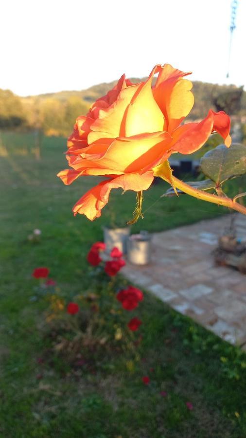 Beb Montefratta Bed and Breakfast Fratta Terme Εξωτερικό φωτογραφία