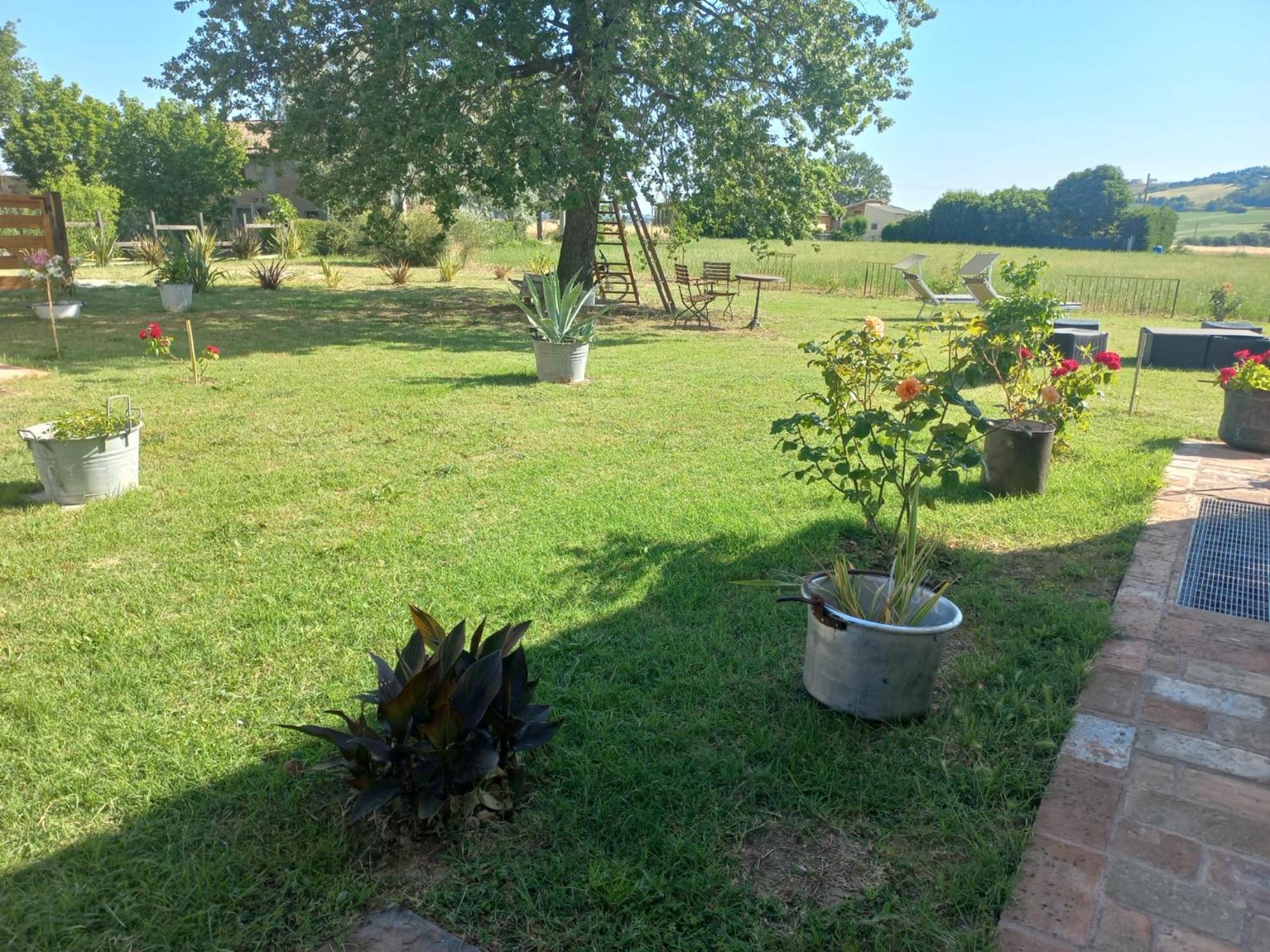 Beb Montefratta Bed and Breakfast Fratta Terme Εξωτερικό φωτογραφία
