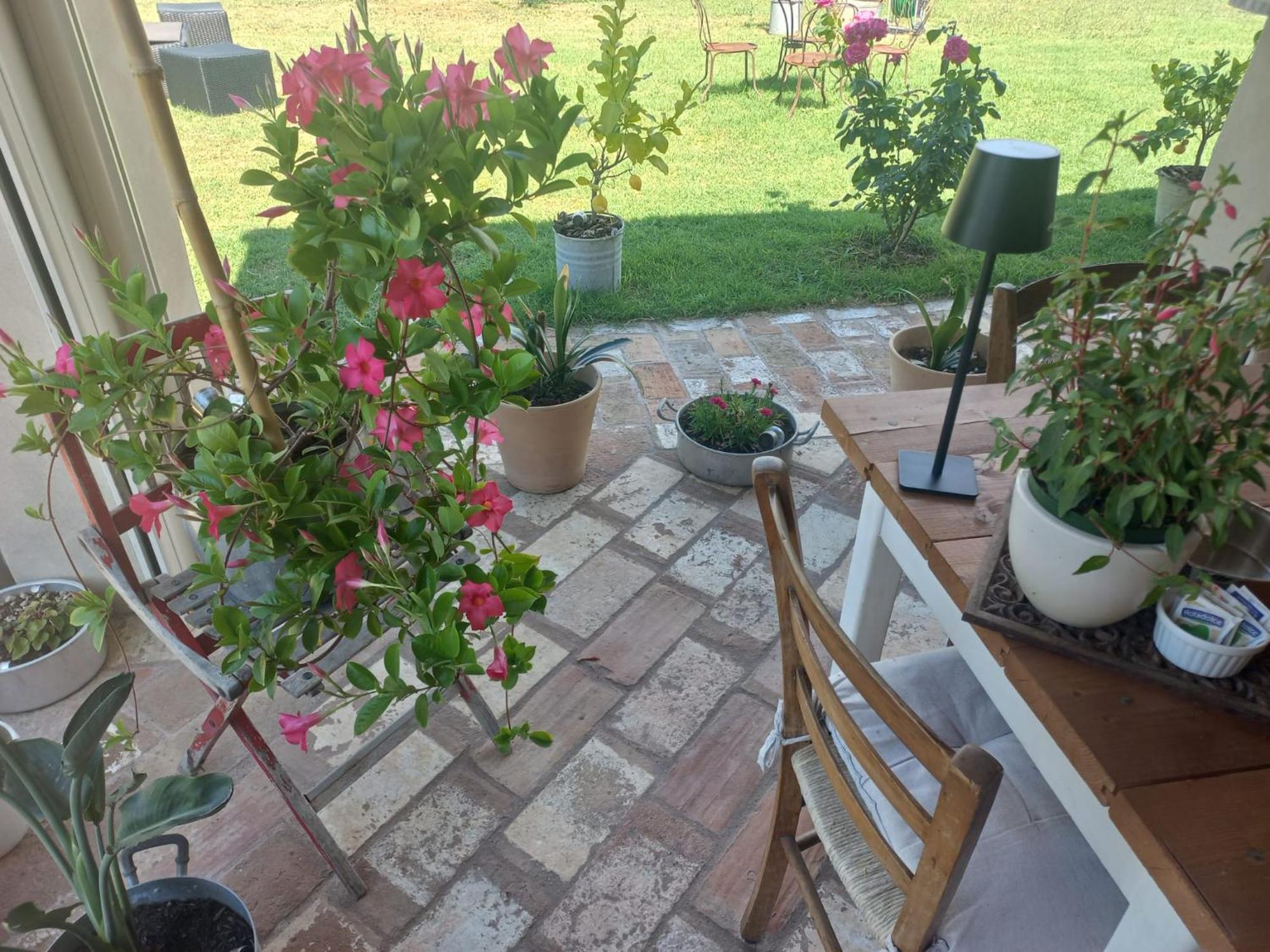 Beb Montefratta Bed and Breakfast Fratta Terme Εξωτερικό φωτογραφία