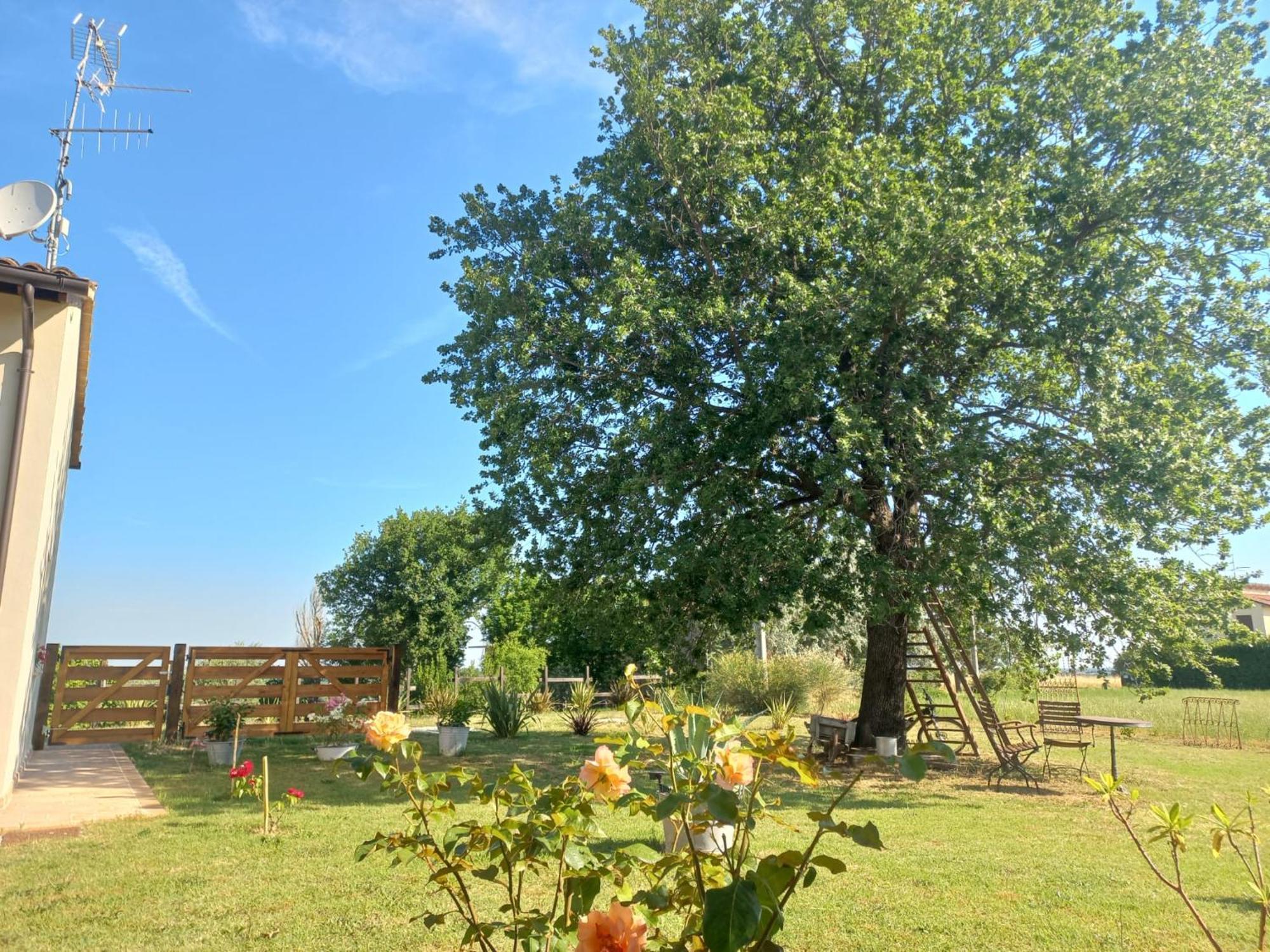 Beb Montefratta Bed and Breakfast Fratta Terme Εξωτερικό φωτογραφία