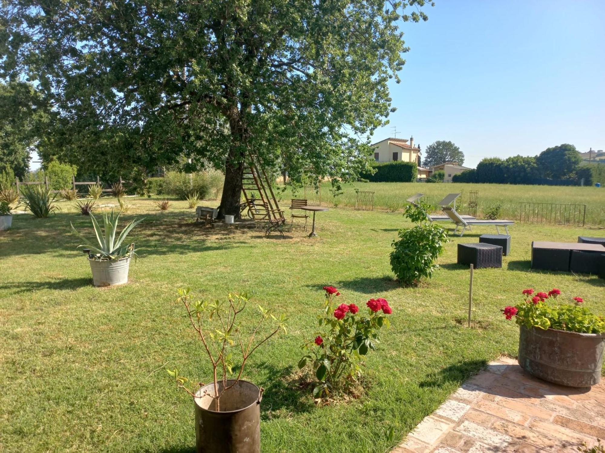 Beb Montefratta Bed and Breakfast Fratta Terme Εξωτερικό φωτογραφία